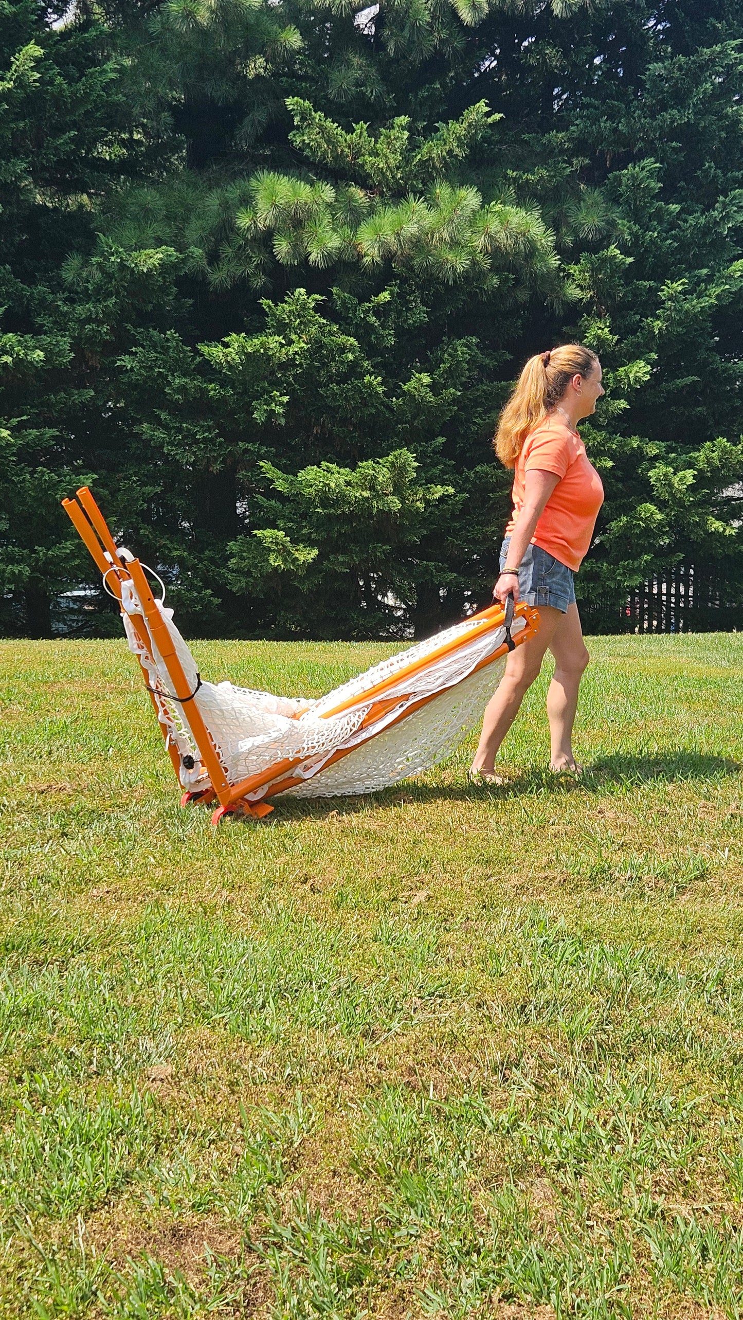 Lacrosse Cart